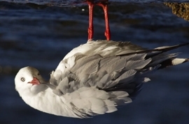 Весеннее обострение! Скидка 20% на MINENKO!