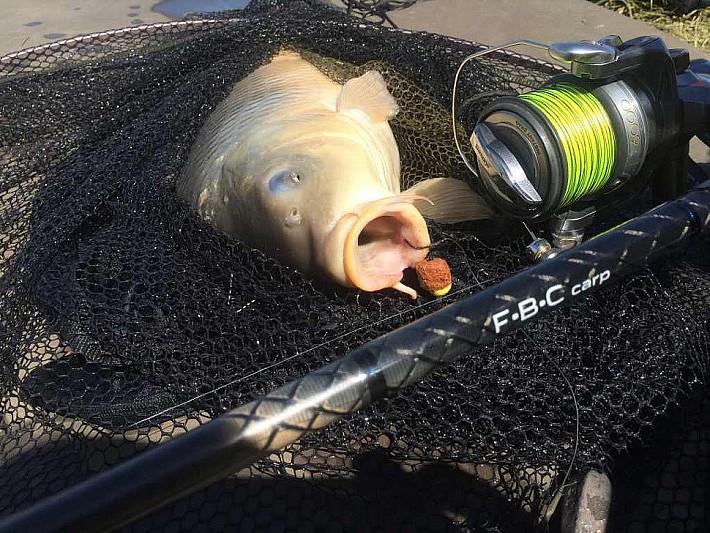 Карпфишинг044